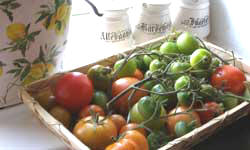 hjemmedyrkede tomater