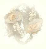 T�rret blomsterkrans.  Foto: Annete Pr�stegaard