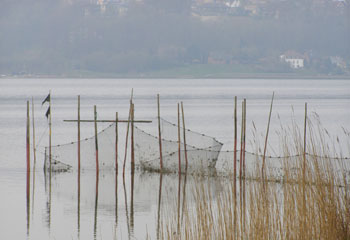 Foto: Annette Pr�stegaard